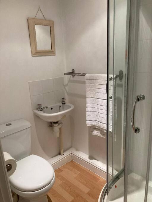Studio Annexe With Separate Shower Room Broadhempston Luaran gambar